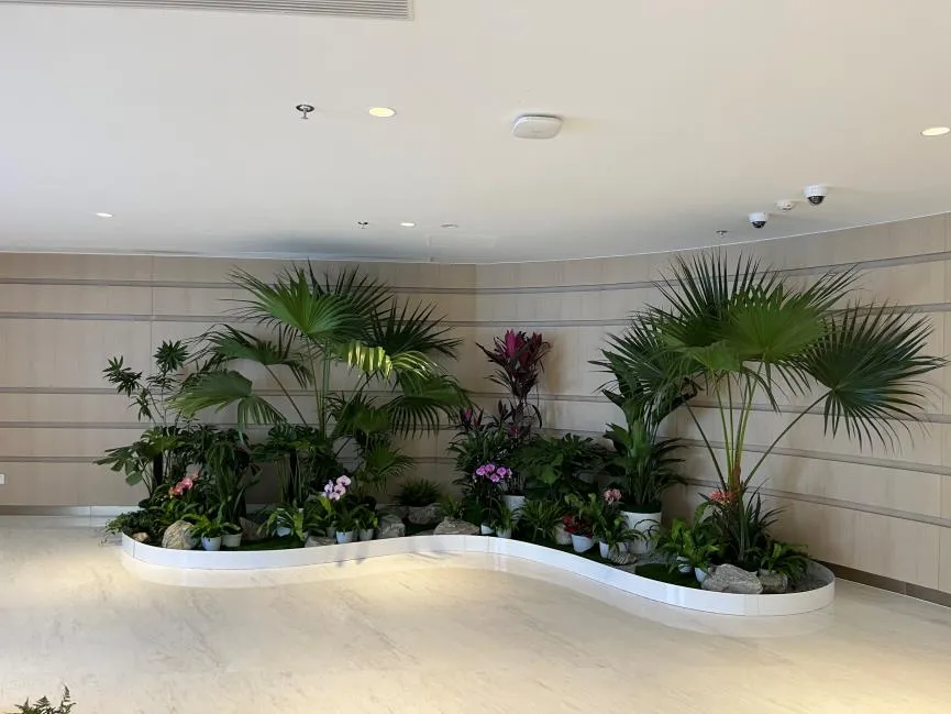 宁波余姚盆景租赁 宁波余姚盆景租赁